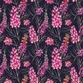 Watercolor vector grevillea pattern Royalty Free Stock Photo