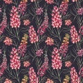 Watercolor vector grevillea pattern Royalty Free Stock Photo