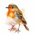 Watercolor Vector Illustration Of Cute Little Robin Royalty Free Stock Photo