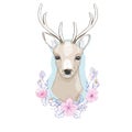 watercolor vector illustration isolated deer, big antlers, flowers and birds on the horns, branches cherry flowering Royalty Free Stock Photo
