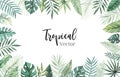 Watercolor vector illustration. Summer tropical frame with banana leaves, monstera and palm leaves. Perfect for wedding Royalty Free Stock Photo