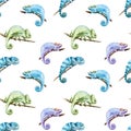 Watercolor vector pattern reptiles chameleon