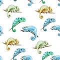 Watercolor vector pattern reptiles chameleon