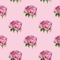 Watercolor vector pattern, seamless, tropical, bright repeating texture with pink flowers peonies buds leaves Royalty Free Stock Photo