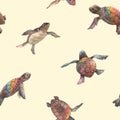 Watercolor vector rainbow small baby turtles colourful seamless pattern Royalty Free Stock Photo