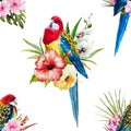 Watercolor vector rosella bird pattern Royalty Free Stock Photo