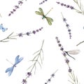 Watercolor vector seamless pattern with colorful dragonflies and lavanda flowers. Stock illustration. White background. Royalty Free Stock Photo