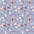 Watercolor vector seamless pattern with colorful dragonflies. Stock illustration. Purple background. Royalty Free Stock Photo