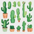 Watercolor vector set of cactus and succulent plants isolated on white background. Watercolor cactus set. Desert flower, garden Royalty Free Stock Photo