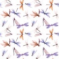 Watercolor vector summer dragonfly insect colourful seamless pattern