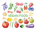 Watercolor vegan food. Hand painted realistic illustration Royalty Free Stock Photo