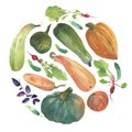 Watercolor vegetable circle with a natural illustration of veggies for design sign, agribusiness logo, organic food banner, health