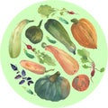 Watercolor vegetable circle with a natural illustration of veggies for design sign, agribusiness logo, organic food banner, health