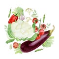 Watercolor vegetable food. Farmer`s market. Round composition of farm products Fresh organic food for printing on postcards