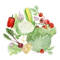 Watercolor vegetable food. Farmer`s market. Round composition of farm products Fresh organic food for printing