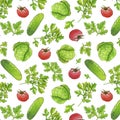 Watercolor vegetable seamless pattern on white . Vitamin Vegetable Pattern with Green Cabbage, Tomato, Juicy Summer