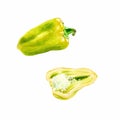 Watercolor vegetable. Slice of ellow bell pepper closeup isolated on white background.