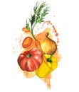 Watercolor vegetables composition with tomato, cut carrot, bell paper, onion, watercolour splashes and drops. Hand drawn