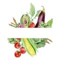 Watercolor vegetables frame border with asparagus, tomato, onion, corn, eggplant. Hand painted vegetarian banner