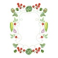Watercolor vegetables frame border with corn, tomato, cabbage, radish. Hand painted vegetarian banner for eco food menu