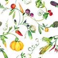 Watercolor vegetables. Organic fresh food seamless pattern. vegetable background. Traditional botanical illustrations.