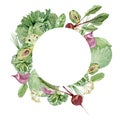 Watercolor vegetables round frame border with cabbage ÃÂ¸ beet . Hand painted vegetarian banner for eco food menu