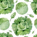 Watercolor vegetables seamless pattern of green food , Spinach and cabbage vegetarian nature green background