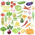 Watercolor vegetables set.