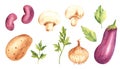 Watercolor vegetables set. Kidney beans, potato and onion, eggplant, champignon mushrooms and parsley plant. Hand drawn Royalty Free Stock Photo