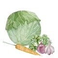 Watercolor vegeterian healthy food composition. Hand painted vegetable for design menu