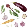 Watercolor vegeterian healthy food. Hand painted vegetable for design menu
