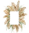 Watercolor vertical frame of dry and green pampas grass. Hand painted tropical border of exotic plant isolated on white