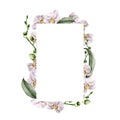 Watercolor vertical frame with white orchids. Hand painted tropical border with flowers, leaves and buds isolated on