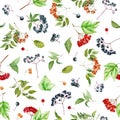 Watercolor viburnum, rowan and elder branches seamless pattern