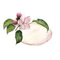 Watercolor vignette with with apple blossoms and leaves. Botanical illustration Royalty Free Stock Photo