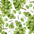 Watercolor vine fresh green grape seamless pattern background. Hand draw background with food objects. Concept for