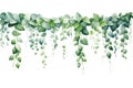 Watercolor vine isolated white background with green leaves. Generative AI