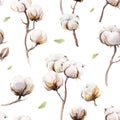 Watercolor vintage background with twigs and cotton flowers boho decoration. Softness Botanical watercolour seamless pattern Royalty Free Stock Photo