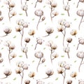 Watercolor vintage background with twigs and cotton flowers boho decoration. Softness Botanical watercolour seamless pattern