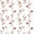 Watercolor vintage background with twigs and cotton flowers boho decoration. Softness Botanical watercolour seamless pattern