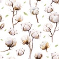 Watercolor vintage background with twigs and cotton flowers boho decoration. Softness Botanical watercolour seamless pattern Royalty Free Stock Photo