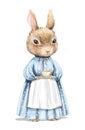 Watercolor vintage cartoon bunny rabbit in blue dress with dishes