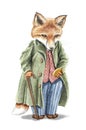 Watercolor vintage cartoon redhead fox in costume with gold pocket watch and walking stick