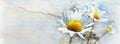 Watercolor vintage daisies background on old paper - Facebook cover Royalty Free Stock Photo