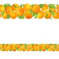 Watercolor vintage horizontal seamless border with juicy tangerines. Hand painted citrus orange fruits and green leaves isolated