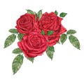 Watercolor vintage illustration of red roses bouquet