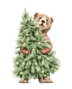 Watercolor Christmas cartoon bear in clothes holding a Christmas tree with arland Royalty Free Stock Photo