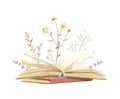 Watercolor vintage retro pile of books in different colors with meadow dried flowers