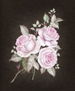 Watercolor vintage roses on dark brown background Royalty Free Stock Photo