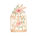 Watercolor vintage rusty cage with peony, feathers, cotton and green leaves bouquet. Retro flowers illustration, cage clipart.